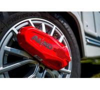 AL-KO Radkralle ProSafe, Rot, Diebstahlschutz für Caravan & Anhänger, 28,5x15x5,4 cm, für 13-17 Zoll Räder, mit Aufbewahrungskoffer
