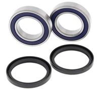 All Balls Radlager Satz hinten für CAN-AM DS 250 International BJ. 2010 - 2015