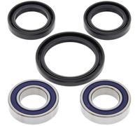 All Balls Radsatz Lager & Simmerringe Kit Für KTM EXC-G 250 Racing 2002 02