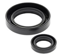 ALL BALLS Satz Simmerringe Kurbelwelle 1008900