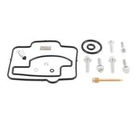 All-Balls Vergaser-Reparatur-Kit Beta RR 250/300, Gas Gas EC 250/300, Husqvarna