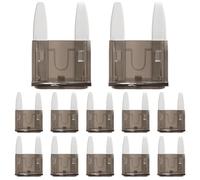 ALLECIN 50 Stück 2A KFZ Sicherungen Mini 2Amp Autosicherungen Mini 2Ampere Flachsicherungen Stecksicherung Auto Sicherung für Wohnmobil LKW PKW Motorrad