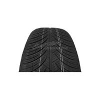 Allwetterreifen Fronway Fronwing AS 3PMSF XL 205/40 R17 84W | 52339