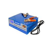 ANJING Vehicles Battery Charger Automatic Pulse Repair 110V-250V 200AH 12V 24V Lead Acid Battery Truck US Plug