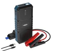 ANSMANN Starthilfe-Powerbank, 2500A, 12V Fahrzeugbatterien, kompakt, Starter-Powerbank, Auto,Motorrad,Boot, mit Lampe, 7L Benzin 4L Diesel, 3xUSB Anschluss