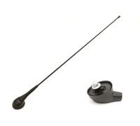 ACV Dachantenne Renault