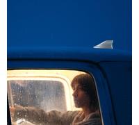 Antennenabdeckung Für Auto Haifischantenne -Radio -Antenne Autodachantenne