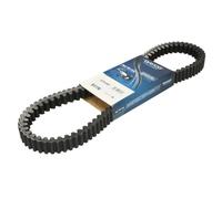 Antriebskeilriemen, Variomatik DAYCO XTX1001