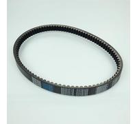 Antriebsriemen Dayco passend für Roller Daelim 125 S3