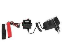 Batterie-Trainer 12 V - 500 mA von APA - 2230-10949