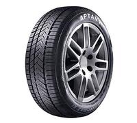 Aptany RW 211 205/60 R16 96 H, Winterreifen