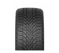 ARIVO Winterreifen WinMaster ProX ARW3 225/45 R19 96V XL TL BSW M+S 3PMSF