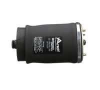 ARNOTT Luftfeder, Fahrwerk Hinten links für BMW