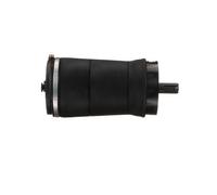 Arnott A-3025 Luftfeder, Fahrwerk für LAND ROVER