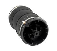 Arnott A-3025 Luftfeder, Fahrwerk für LAND ROVER