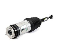 Arnott Luftfederbein hinten für TESLA AS-3752