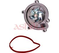 ASHIKA Wasserpumpe Motorkühlung 35-0M-M02 für MERCEDES KLASSE Sports Tourer W245