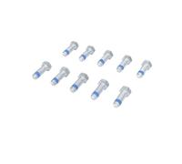 Schraube, Bremssattel