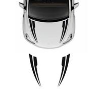 Aufkleber doppelt gebogene Motorhaube Tesla Model Y