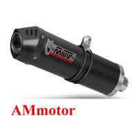 S.029.LEC - Auspufftoepf Auspuff Mivv Oval Carbon Cap Suzuki GSF 1250 Bandit