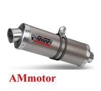 Auspuff Motorrad Mivv Yamaha Yzf 600 Thundercat 1997 97 Endtopf Oval Titanium