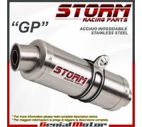 Auspuff Storm by Mivv Schalldampfer Gp Aprilia Tuono Fighter 1000 2002 02