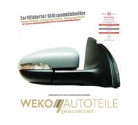 Diederichs Spiegel links heizbar klappbar Memory Bodenlampe 11Pin für VW Golf 6