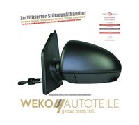 Diederichs Außenspiegel [Hersteller-Nr. 1606024] für Smart