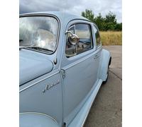 Universeller Außenspiegel - Edelstahl - 1 Stück passend für Fahrer- und Beifahrerseite~