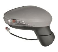 DIEDERICHS Außenspiegel