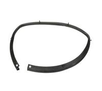 Auto Türdichtung 5725A165 Auto Tür Untere Schalldichte Wetter Streifen Für Mitsubishi Für Outlander 2013 2014 2015 2016 2017 2018 2019 2020 5755A295 Autotür Dichtungsstreifen(Vorne Links)