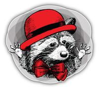 Autoaufkleber Mode Waschbär Kopf K3998 Sticker-12cm