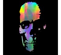 Autoaufkleber TOTENKOPF Skull Schädel gruselig Kopf Holo Regenbogen 18x29cm