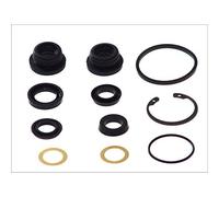 AUTOFREN SEINSA Reparatursatz Hauptbremszylinder D1569 Ø22 mm