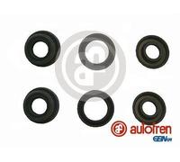 AUTOFREN SEINSA D1851 Reparatursatz, Hauptbremszylinder