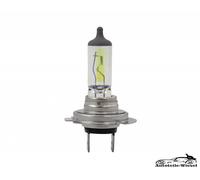 Autolampe Birne H7 Vorne für Audi Q7 TT Roadster Q5 A8 D4 D3 D2 A6 C6 96-07