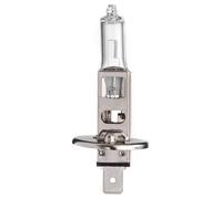 SCHARNBERGER+HASENBEIN Autolampe Halogen mit 1 Le 81111