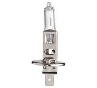 Autolampe Halogen H1 P14,5s 12V 100W 81116 4034451811164 Scharnberger+Hasenbein 1 STK