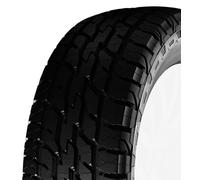 Avon AX7 225/60 R17 103 H, Sommerreifen