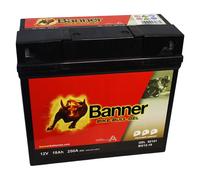 Banner Bike Bull AGM Professional 52001 - 18Ah