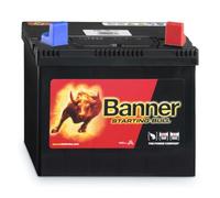 Banner Batterie Bike Bull wartungsfrei 53030, 12V, 30Ah