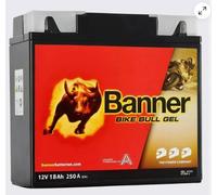 Banner Bike Bull Motorradbatterie GEL 51913 52101 12V 18Ah BMW mit ABS
