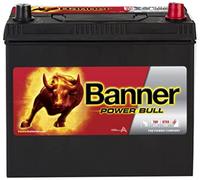 Banner Power Bull P4523 12V 45AH 390A