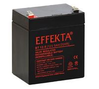 Batterie Blei-Vlies BT12-5