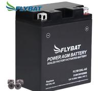 Batterie für BMW F 650 GS ABS E650G 0175 2004 FlyBat YB12AL-A2 AGM geschlossen