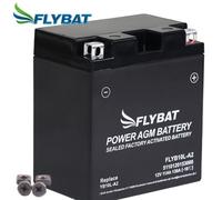 Batterie für Yamaha XC 180 Cygnus 32H 32H 1984 FlyBat YB10L-A2 AGM geschlossen
