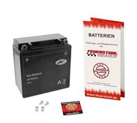 Batterie GEL Generic Worx 125, 2012-2013, wartungsfrei, geladen, inkl 7,50 Pfand