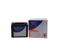 Batterie Tecnium BTX16-BS 12v 14 Ah 150 x 87 x 161 Ohne Wartung