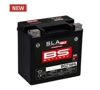 Batterie BS Battery SLA Max Ohne Pflege Aktiviert Anlage - BGZ16HL