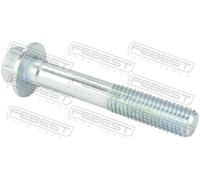 Befestigungsbolzen, Querlenker